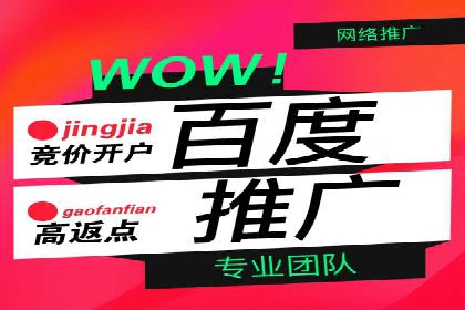 某知名企业竞价推广策略全解析